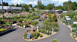 Whitehall Lacock garden centre